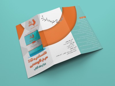 طراحی برشور - شرکت جیکو دانه 